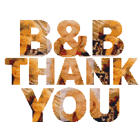 The Bold And The Beautiful B And B Sticker