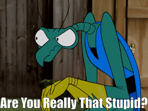The Brak Show Are You Really That Stupid GIF