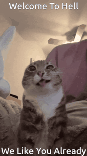 The Chum Slum Welcome GIF
