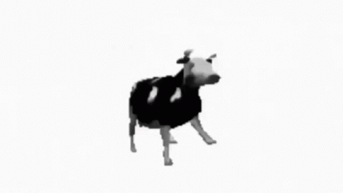 The Cow After Roblox Verification Be Like GIF
