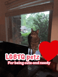 The Cutest The More You Know GIF