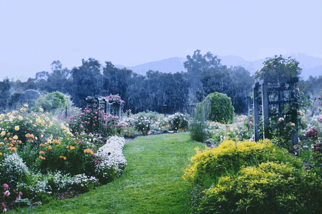 The Garden GIF