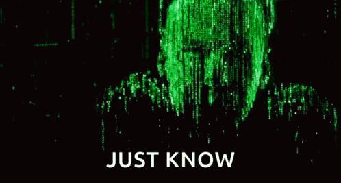The Matrix Reloaded Neo GIF