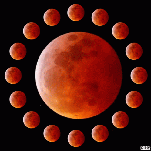 The Moon Moon GIF