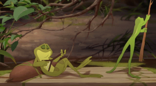 The Princess And The Frog Frog GIF