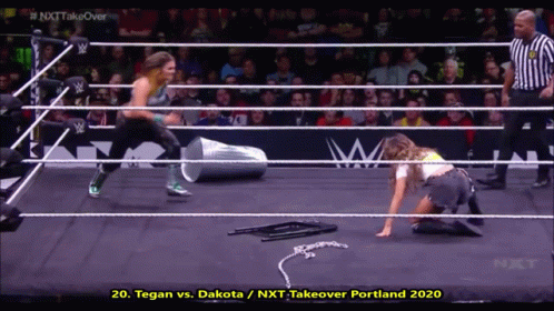 The Shining Wizard Tegan Nox GIF