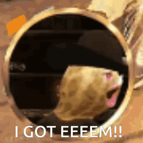 Theburntpeanut Got Em GIF