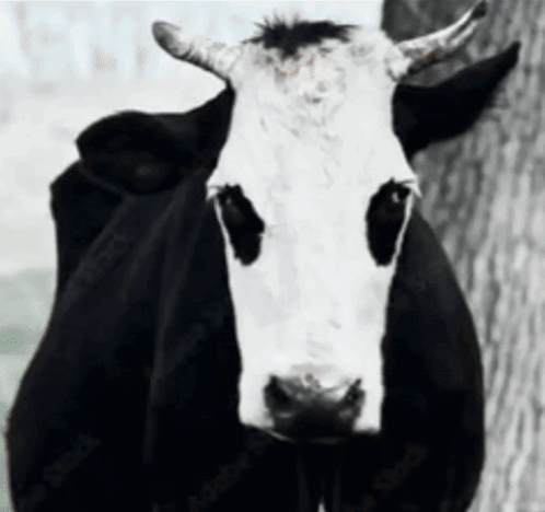 Thecreature Offlain GIF