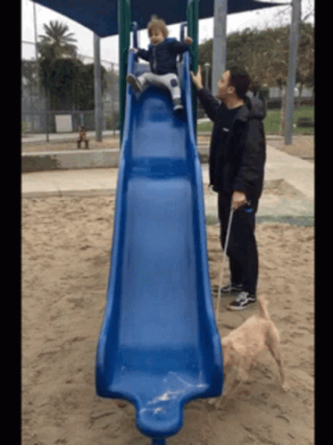 Theoslide GIF
