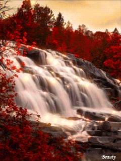 Thinking Of You Believing In Love GIF