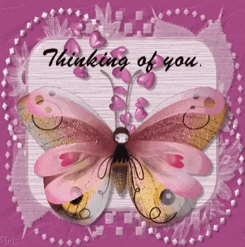 Thinking Of You Butterfly GIF