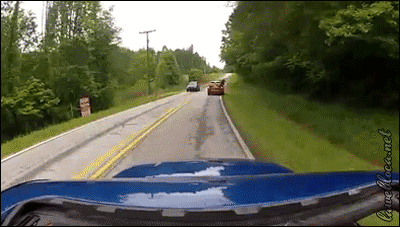 This Driver Who Was Lucky To Find A Deer That Knew Parkour. GIF