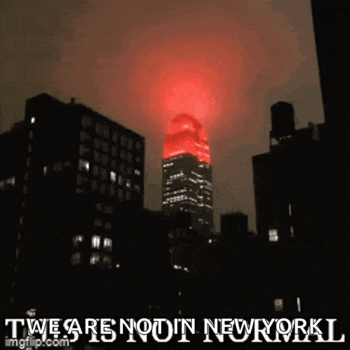 This Is Not Normal New York GIF