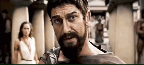 This Is Sparta 300 GIF