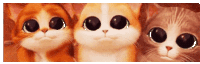 Threecatsfriends Cutecatsthree Sticker