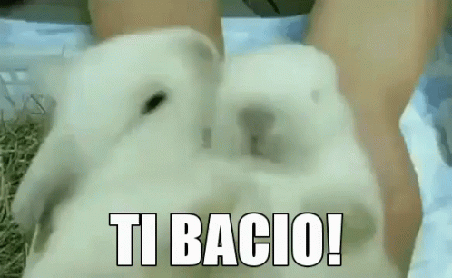 Ti Bacio Ti Mando Un Bacio Bacino Bacetto Bacini Bacetti Baci Mandare I Baci Ciao Ti Voglio Bene GIF