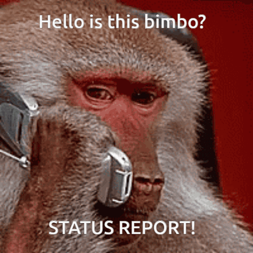 Tidus Bimbo GIF