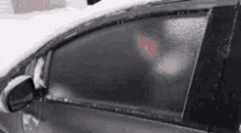 Tim Hortons Coffee GIF