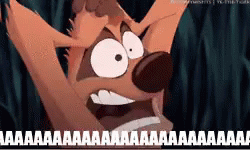 Timao E Pumba Desesperados GIF