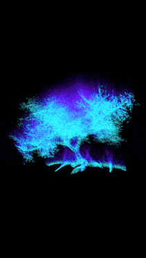 Timenotspace Spectral GIF