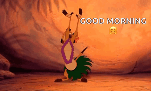 Timon Hawaiian GIF