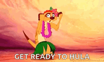 Timon Hula GIF