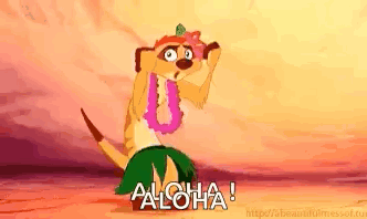 Timon Hula GIF