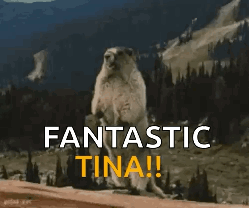 Tina Beaver GIF