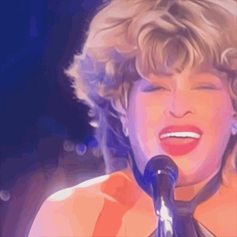 Tina Tina Turner GIF