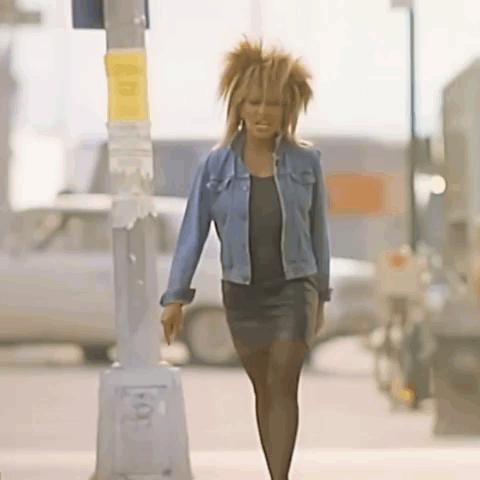 Tina Tina Turner GIF