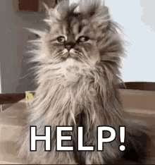 Tired Groggy GIF