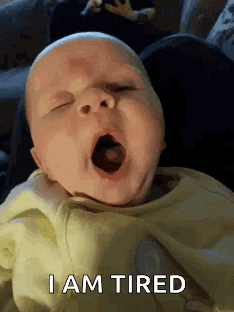 Tired Yawn GIF