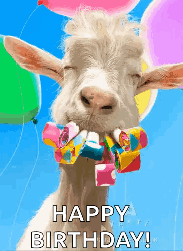 Today Is Your Day GIF