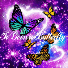 Togoonabutterfly GIF