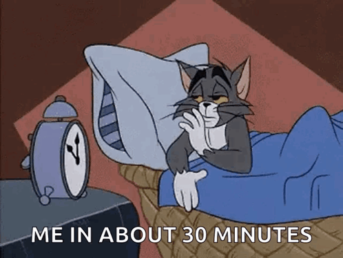 Tom And Jerry Tom GIF