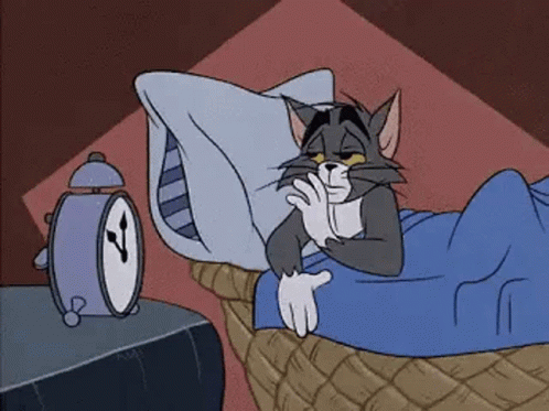 Tom And Jerry Tom GIF