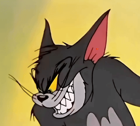 Tom Tom E Jerry GIF