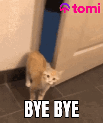 Tomi Tominet GIF
