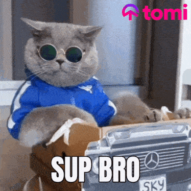 Tomi Tominet GIF