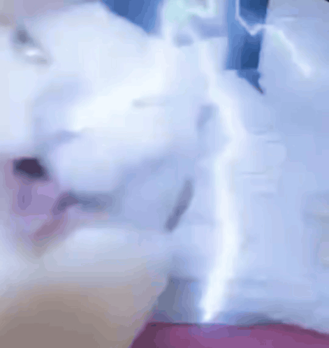 Tongue Cat Tongue Out GIF