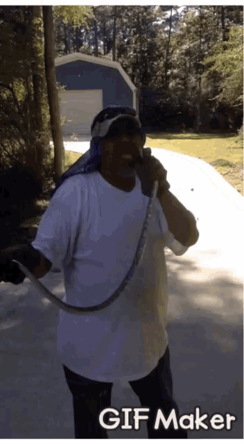 Tongue Snake GIF