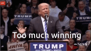 Too Much Winning GIF