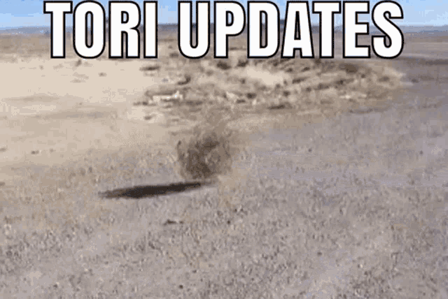 Tori Sunrust GIF