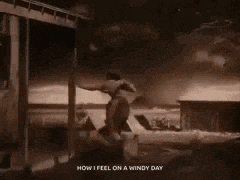 Tornado Scared GIF
