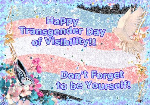 Transgender Transgender Day Of Visibility GIF