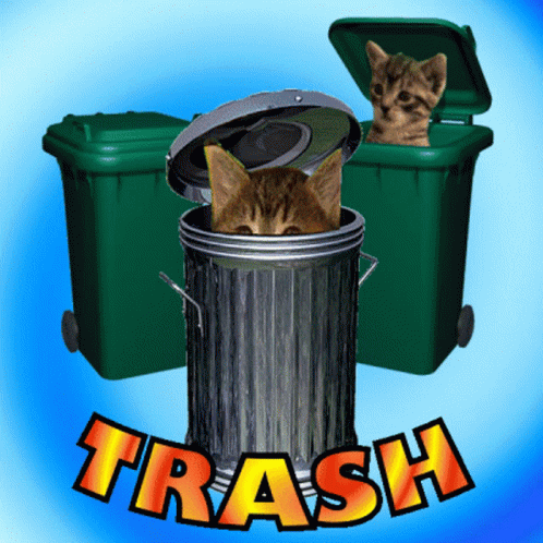 Trash Cats GIF