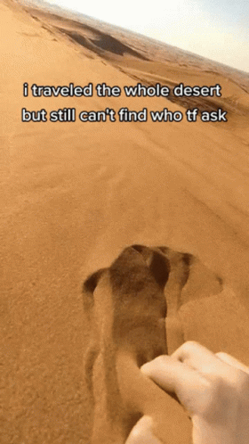Travelled The Whole Desert But Didnt Find Who Ask GIF