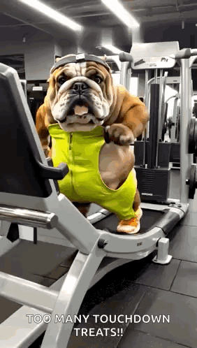 Treadmill Tread Mill GIF