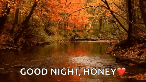 Tree Lake GIF