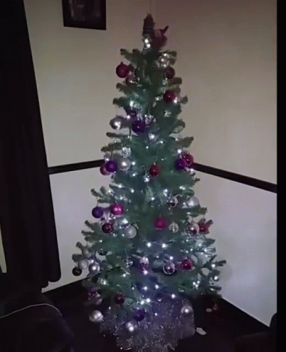 Tree GIF